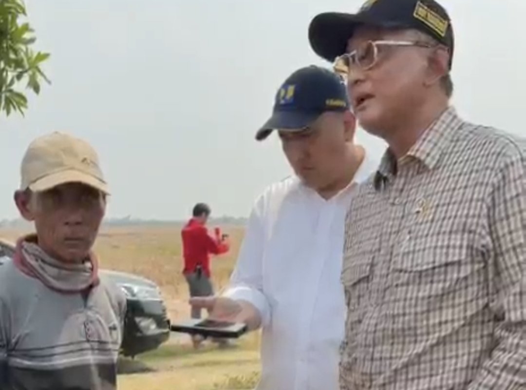 Menteri Pekerjaan Umum Ngamuk, 1000 Hektare Sawah Kering Tujuh Bulan Gak Dapat Pasokan Air