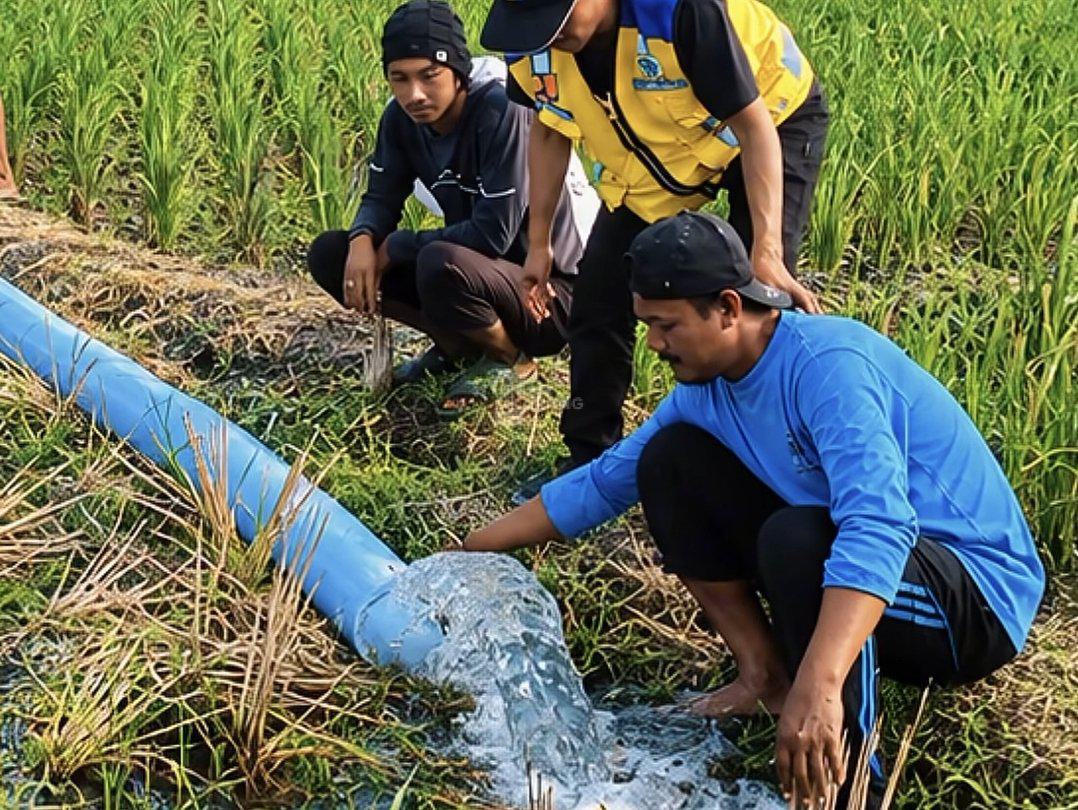 Pasca Menteri PU Ngamuk, 600 Hektare Sawah Mulai Teraliri Air